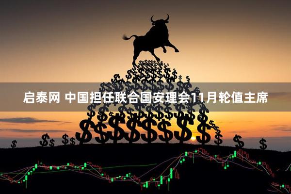 启泰网 中国担任联合国安理会11月轮值主席