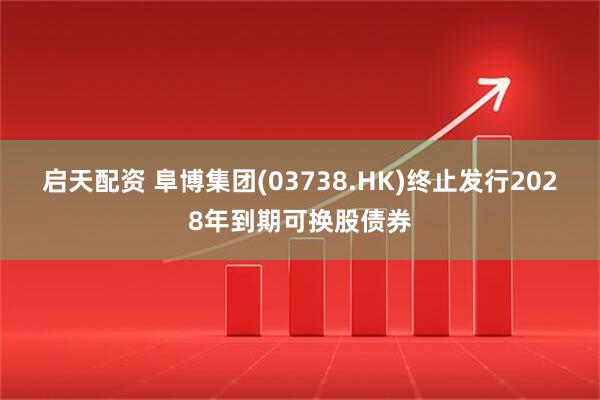 启天配资 阜博集团(03738.HK)终止发行2028年到期可换股债券