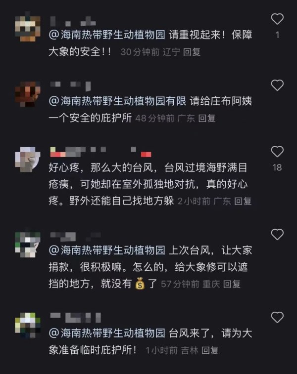 天盈配 17级“桦加沙”将至，海南一55岁大象无避雨内舍引关注，动物园：感谢关心，会保护